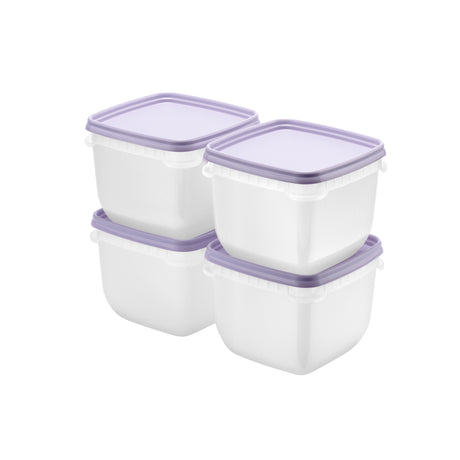 SmartStore Frost fryseboks 4 pk 0,75 liter til matoppbevaring i fryser