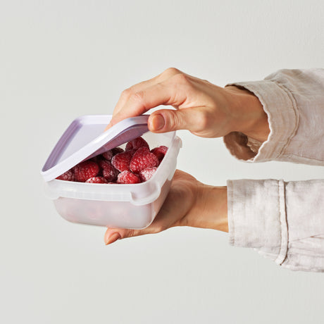 Oppbevaringsbokser til fryser i 5 pk med 0,5 liters kapasitet