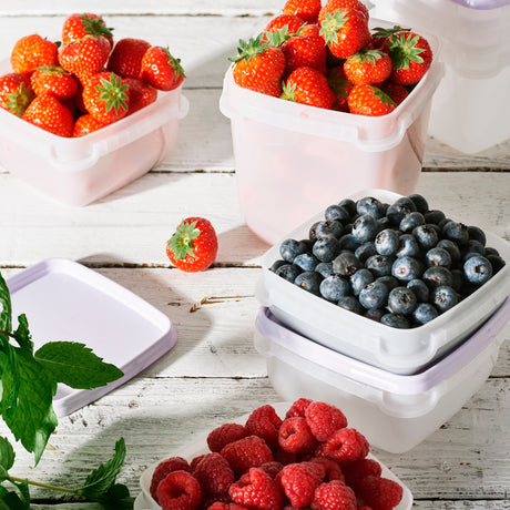 Oppbevaringsbokser til fryser i 3 pk med 1 liters kapasitet