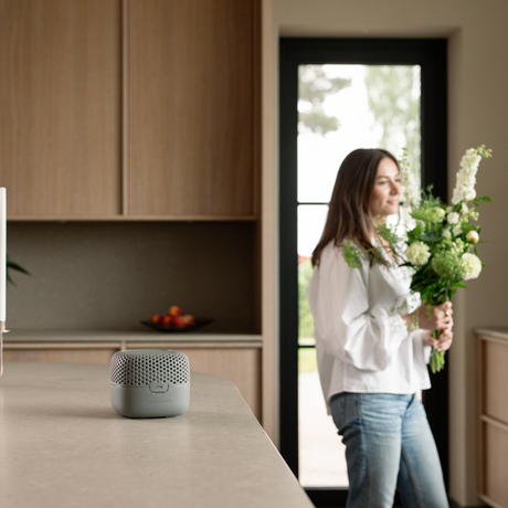 Torrbollen Home Series 3 luftavfukter grå