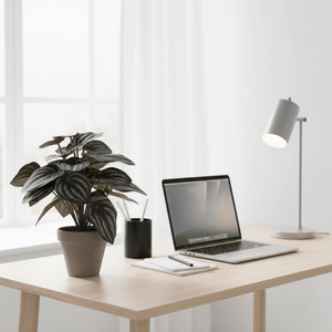 Kunstig Peperomia plante som kontordekor på skrivebord med laptop, vedlikeholdsfri grønn dekor