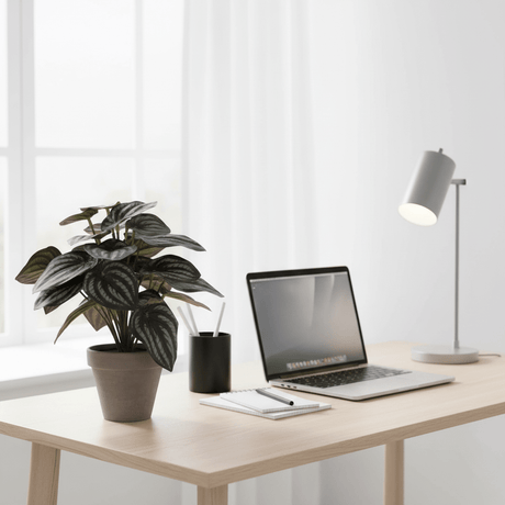 Kunstig Peperomia plante som kontordekor på skrivebord med laptop, vedlikeholdsfri grønn dekor