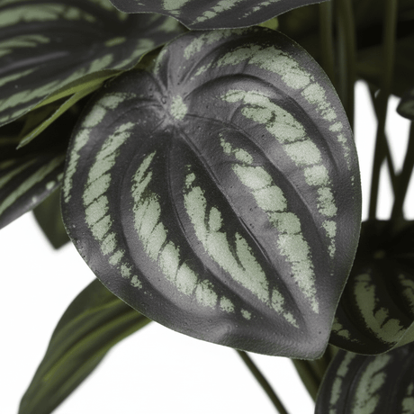 Nærbilde av kunstig Peperomia blad med mørk grønn og sølv stripemønster
