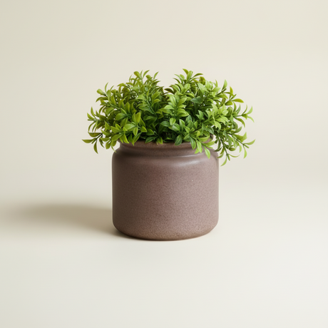 DBKD Pure keramikkpotte i brun finish med grønn plante på hvit bakgrunn.

