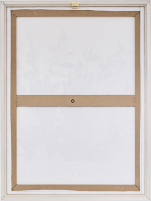 Innrammet lerretsbilde med botanisk motiv Cecilia 45 x 60 cm – produktbilde 2