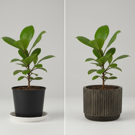 Blomkruka Keramik Svart/Brun Liten