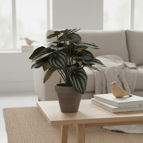 Kunstig Peperomia plante med sølvstripete blader i grå potte, stylet på sidebord i lys stue