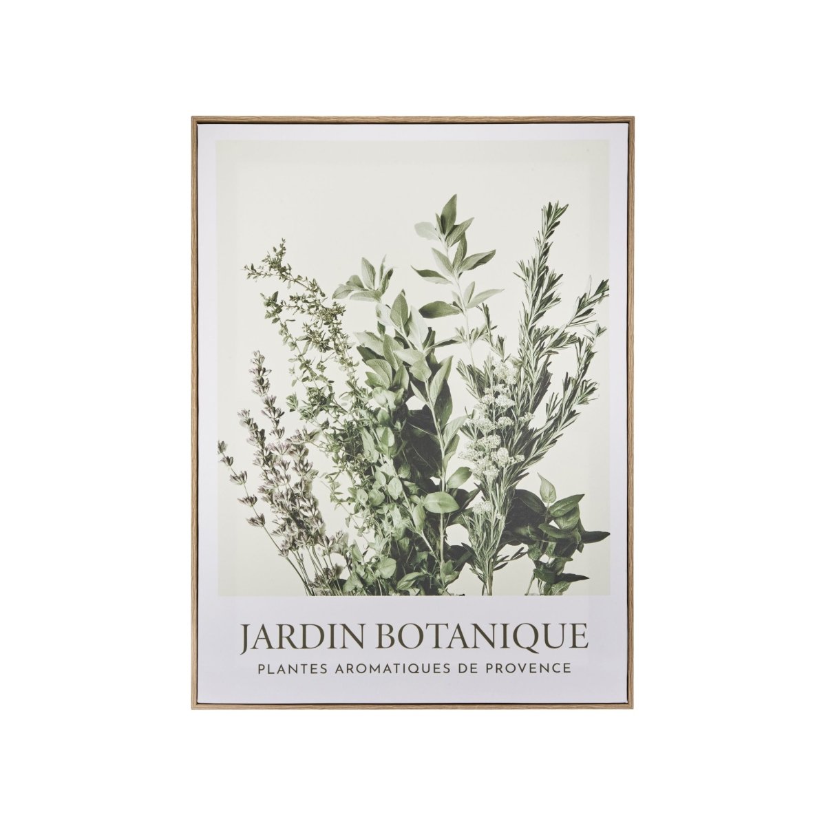 Innrammet lerretsbilde med botanisk motiv Cecilia 45 x 60 cm