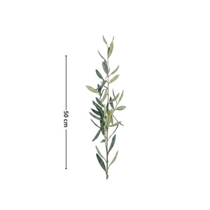 Produktbild på Mr. Plant oliverkvist 50 cm med gröna olivblad