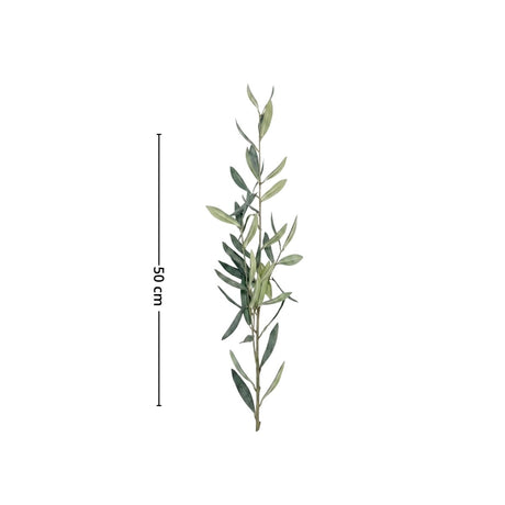 Produktbild på Mr. Plant oliverkvist 50 cm med gröna olivblad