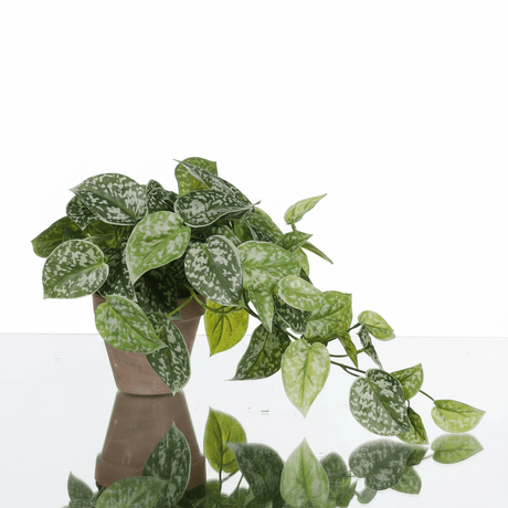 Scindapsus kunstig plante hengende grønn med potte - Lindas Dekor Kunstige planter