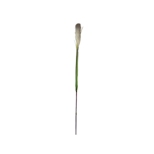 Kunstig pampasgress fra Mr. Plant med naturtro, lys dusk og grønne blader.
