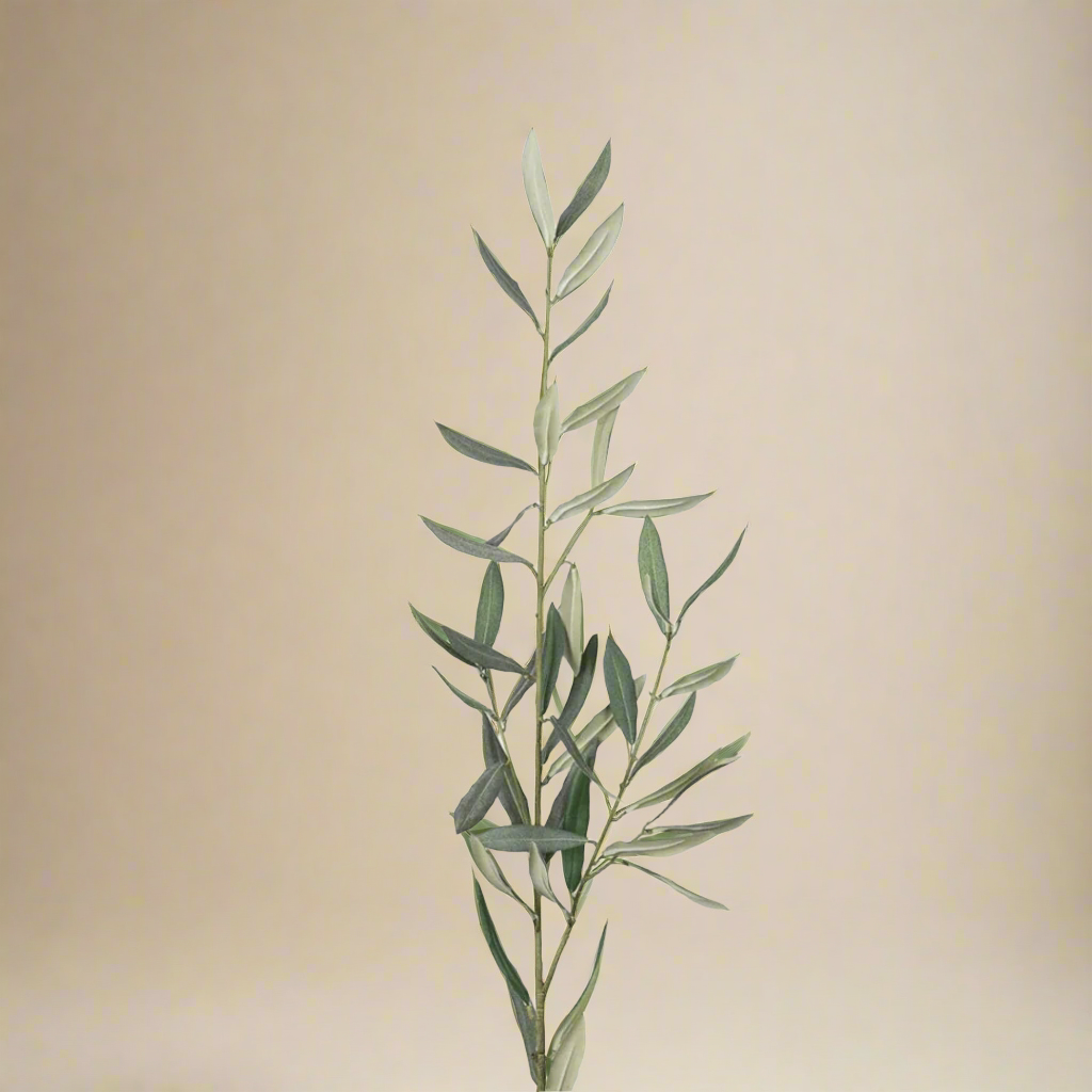 Kunstig olivenkvist 50 cm grønn fra Mr. Plant