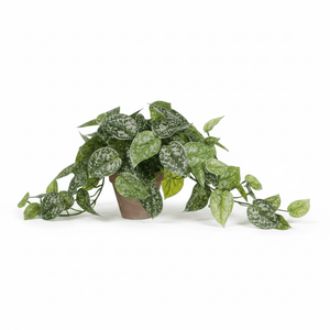 Scindapsus kunstig plante hengende grønn med potte - Lindas Dekor Kunstige planter