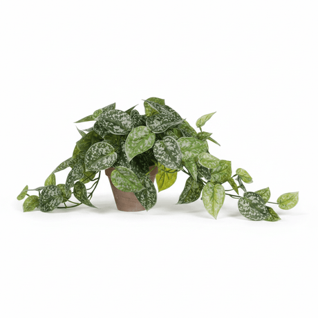 Scindapsus kunstig plante hengende grønn med potte - Lindas Dekor Kunstige planter