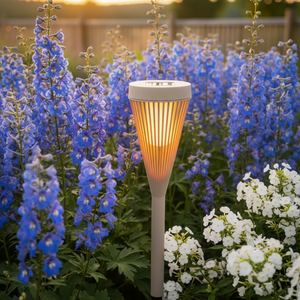 Solflamelys blandt delphinier