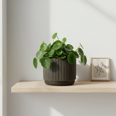 Blomkruka Keramik Svart/Brun Liten