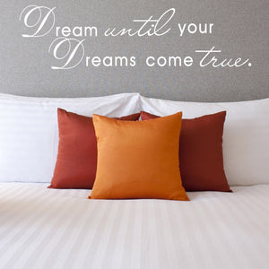 Dream until your dreams come true