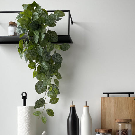  Kunstig Fittonia-plante på sort hylle på kjøkken, med tilbehør på benken under.